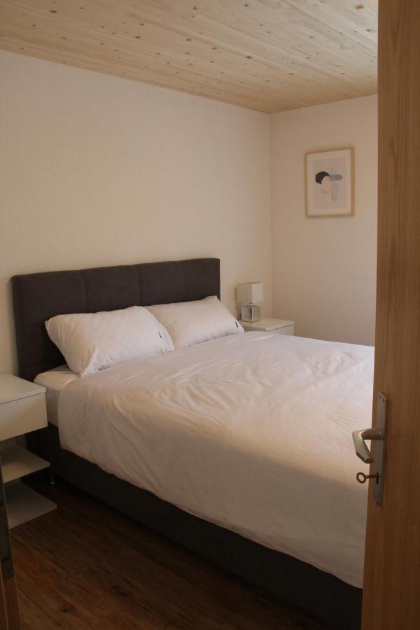 Mountain Oasis Apartment Kandersteg-Adelboden كاندرغرند المظهر الخارجي الصورة