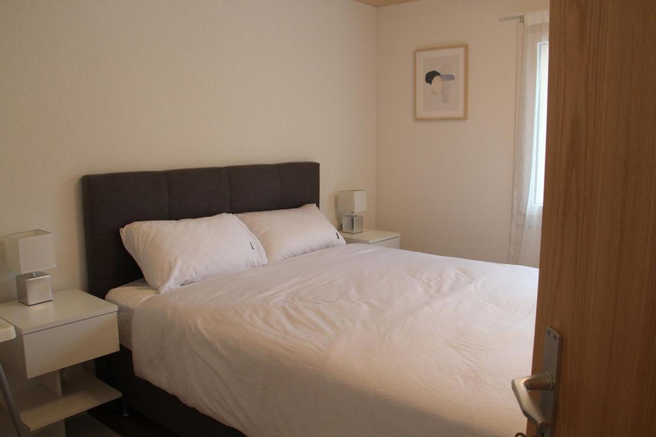 Mountain Oasis Apartment Kandersteg-Adelboden كاندرغرند المظهر الخارجي الصورة