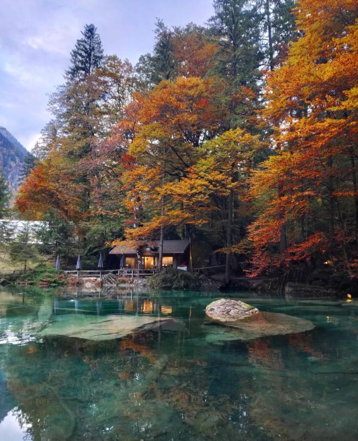 Mountain Oasis Apartment Kandersteg-Adelboden كاندرغرند المظهر الخارجي الصورة