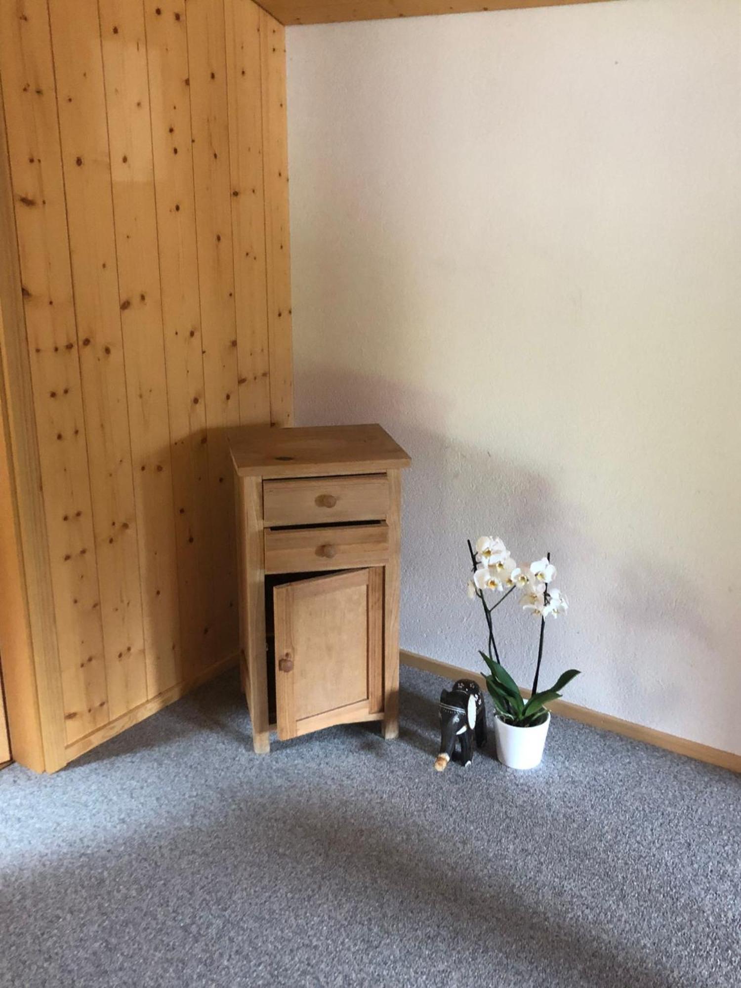 Mountain Oasis Apartment Kandersteg-Adelboden كاندرغرند المظهر الخارجي الصورة